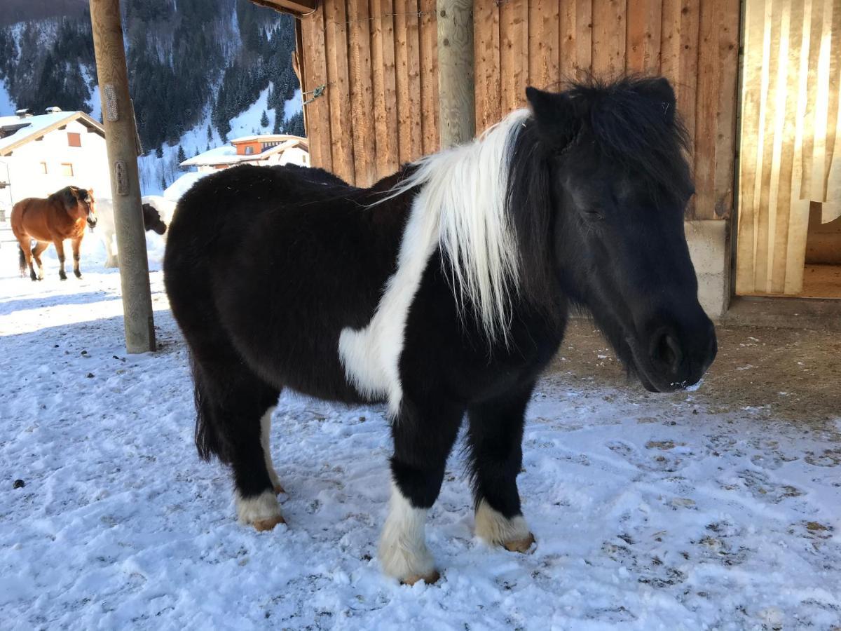 Апартаменты Pony-Ziegen-Hasen-Ranch Бихльбах Экстерьер фото